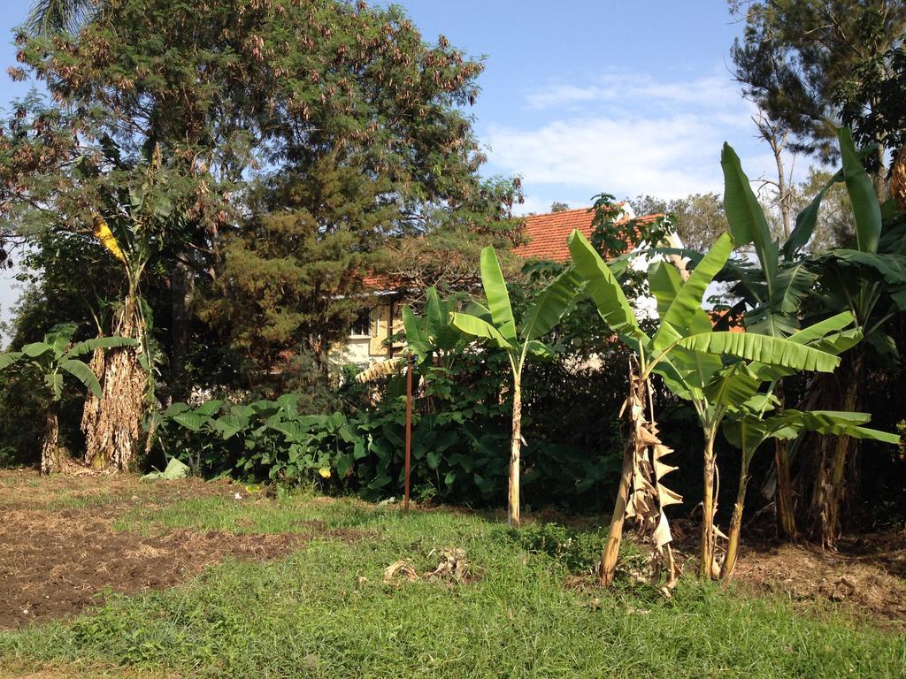 Hotel Bikeventures House Uganda à Jinja Extérieur photo